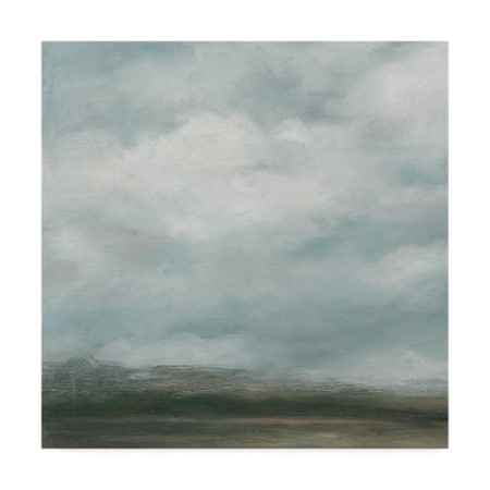 Ethan Harper 'Cloud Mist I' Canvas Art,24x24